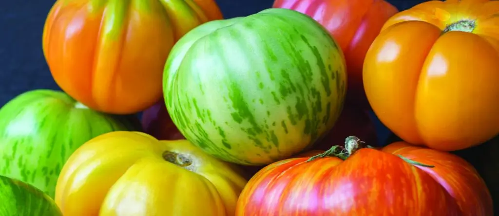 Heirloom Tomatoes - Full of nutrition