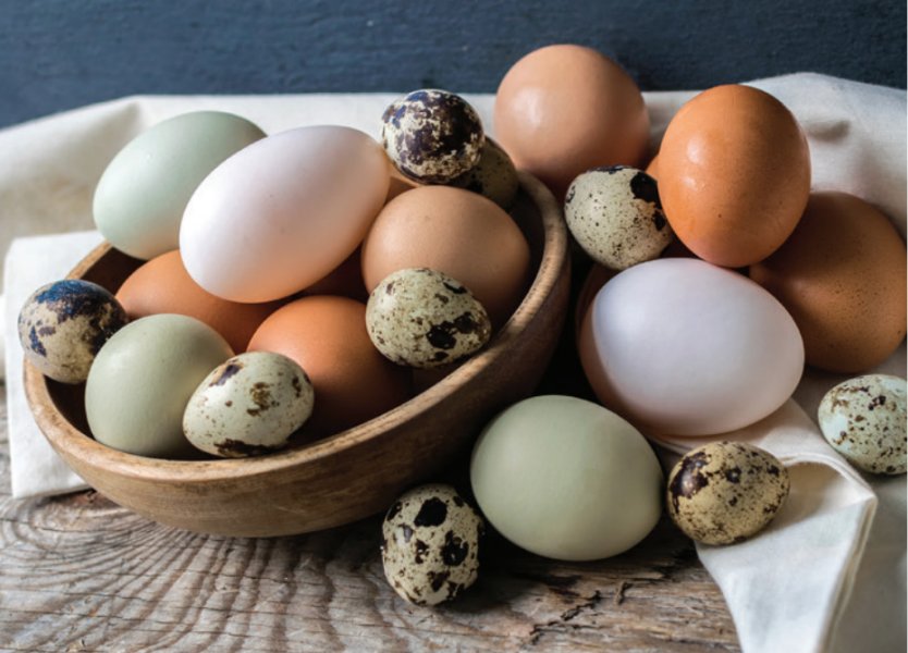 Meet Your Local Farmer: Meadow Grove Eggs | LifeSource Natural Foods