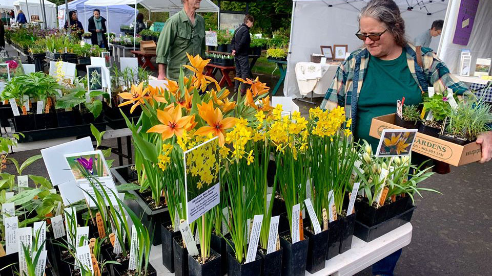 37th Annual Spring Plant Sale | LifeSource Natural