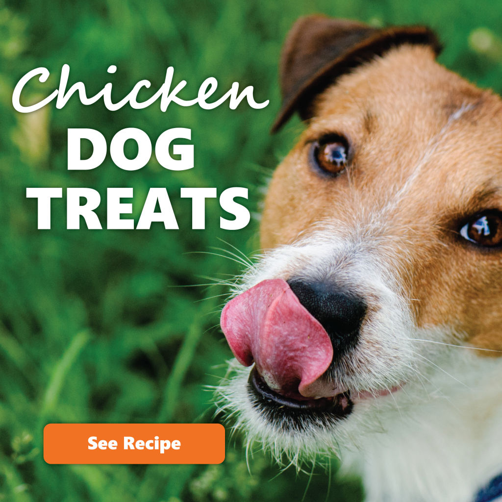 Chicken Dog Treats | Recipe | LifeSource Natural Foods