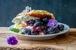 Blueberry Shortcake