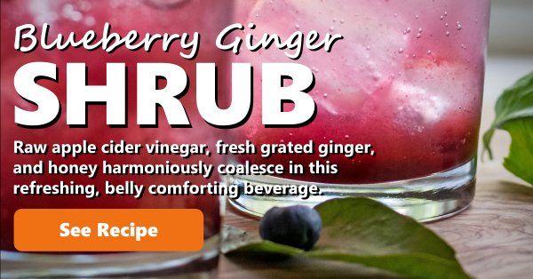 Recipe Blueberry Shrub