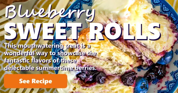 Recipe Blueberry Sweet Rolls