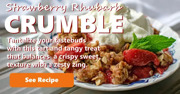 Recipe Strawberry Crumble