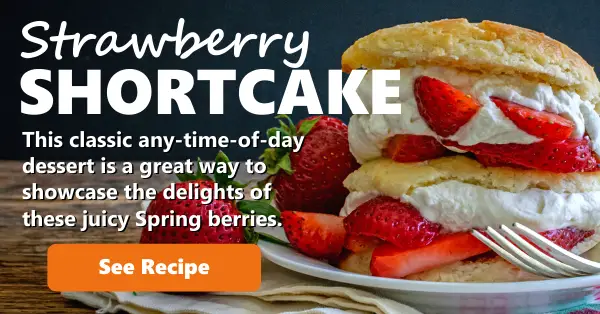 Recipe Strawberry Shortcake
