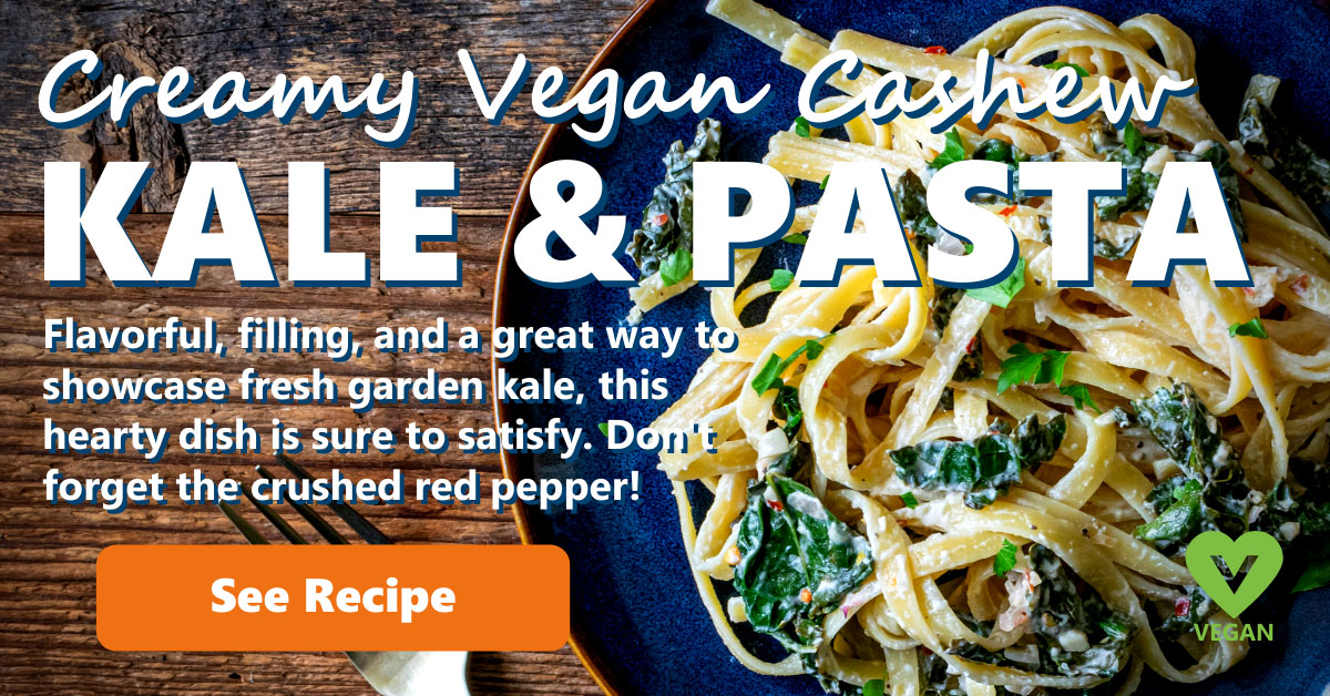 Creamy Vegan Cashew Kale & Pasta