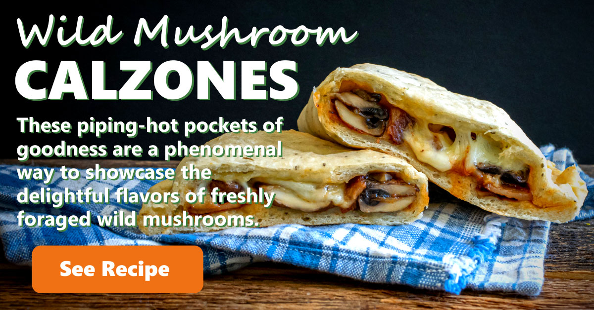 Wild Mushroom Calzones