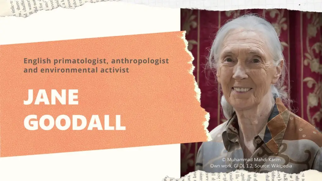 Jane Goodall Portrait