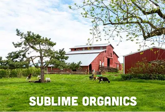 A Visit With Sublime Organics