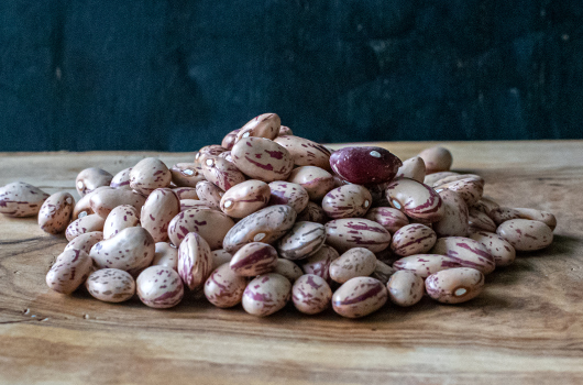 Cranberry - Borlotti Beans