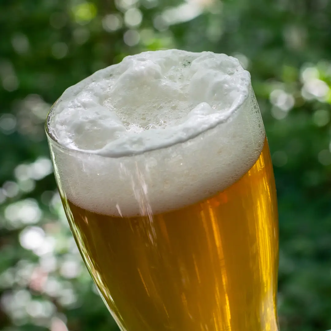 Block 15 Sticky Hands glass of beer at LifeSource