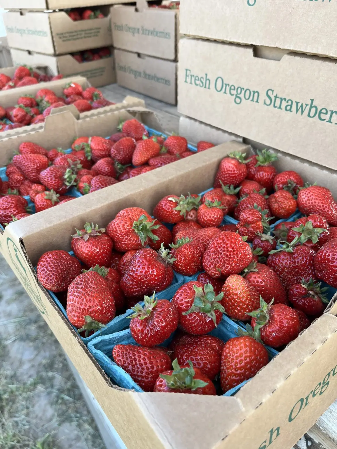 Nottinghamshire Farms Strawberries in boxes