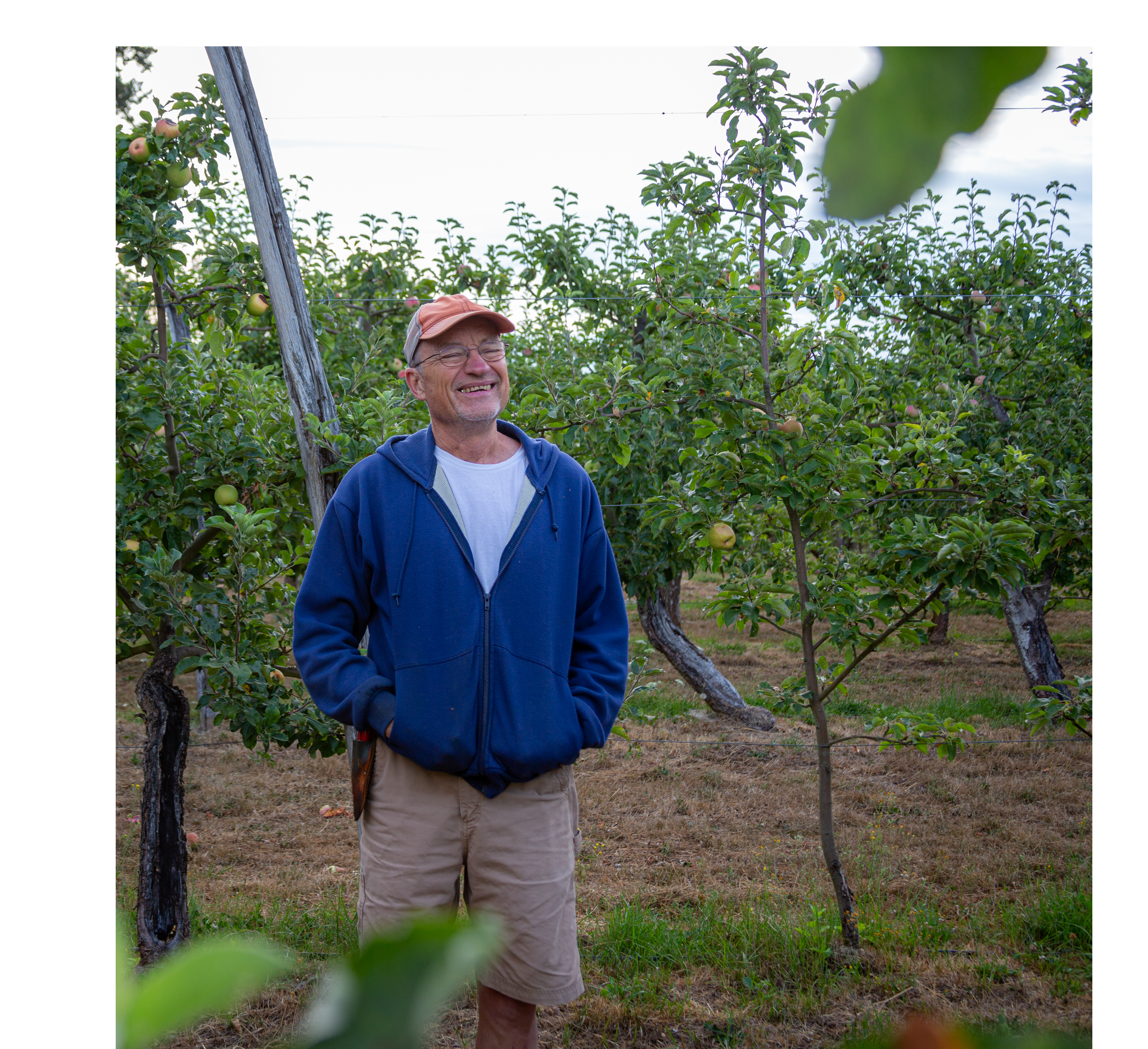 Austin Farms, home of Wynoochie apples!