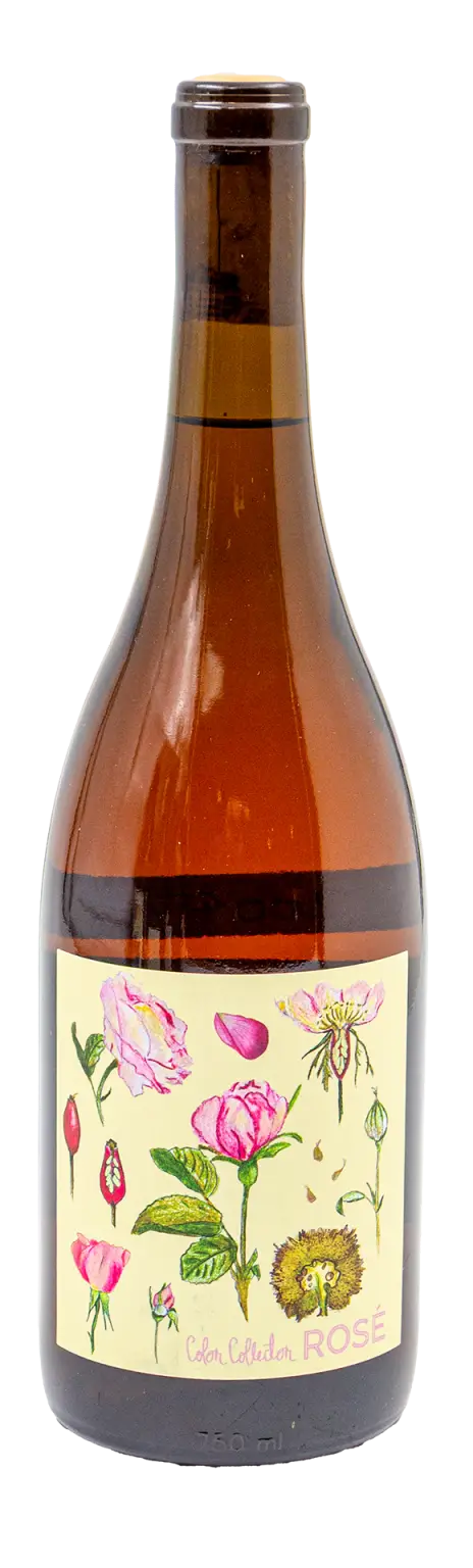 Color Collector Rose Of Gamay