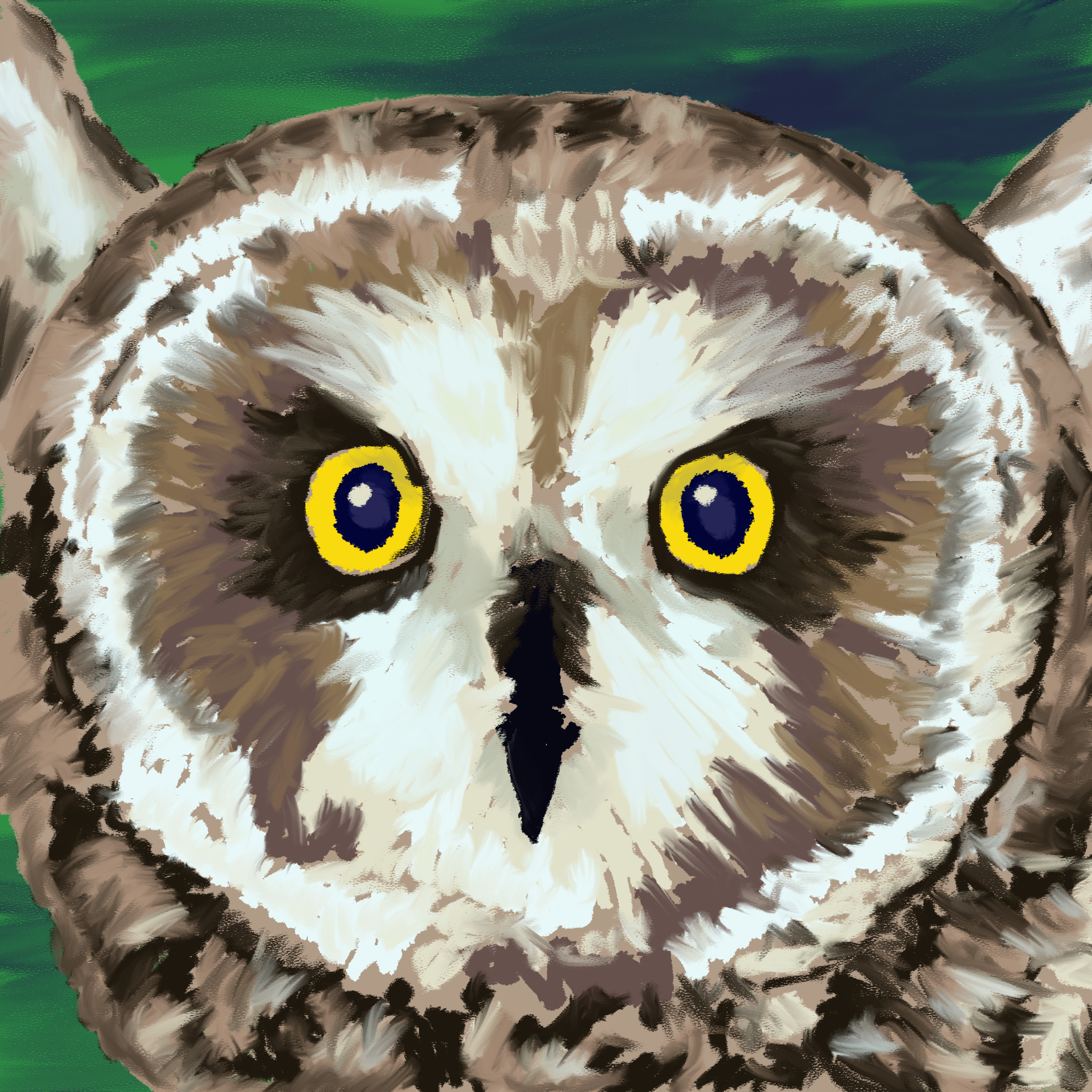 Digital painting of a short eared owl