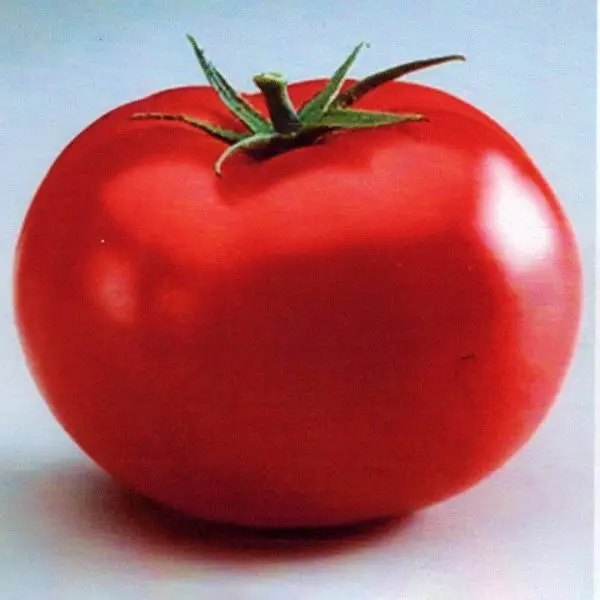 Big Beef beefsteak tomato
