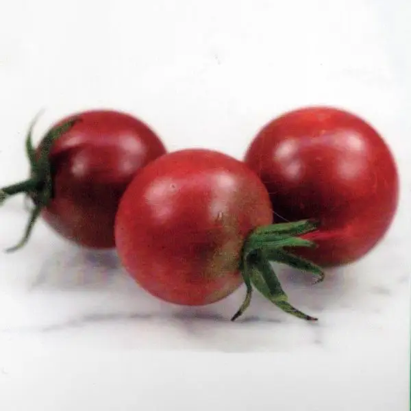Black cherry tomatoes