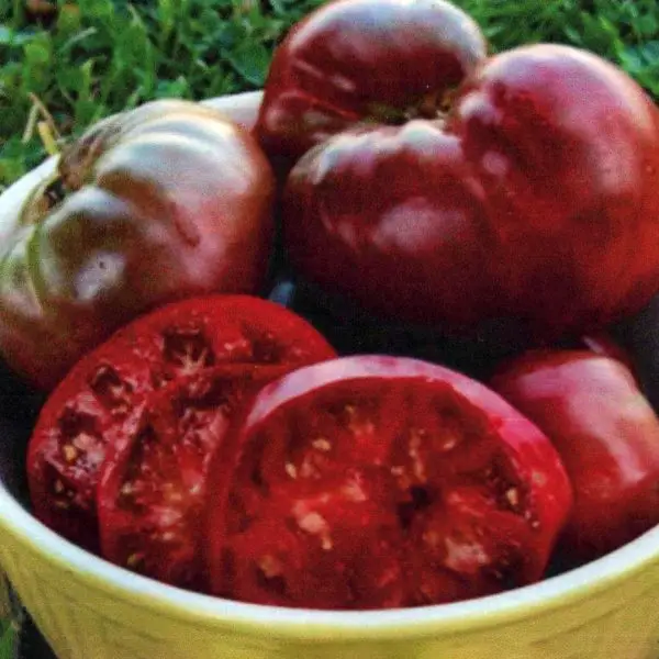 Black Krim deep purple tomato