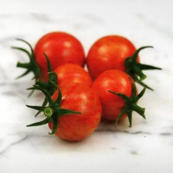 Bumblebee Pink cherry tomatoes are bright red with yellow striping