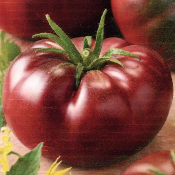 Chef's Choice Black deep purple tomato