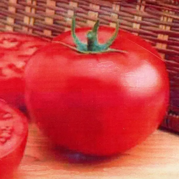 Delicious Beefsteak tomato