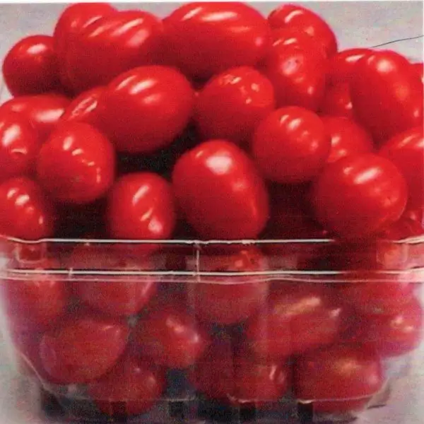 Carton of small Jelly Bean tomatoes