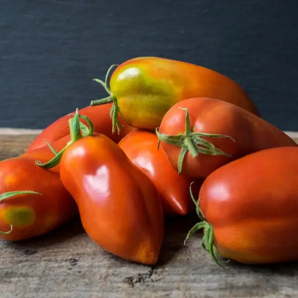 San Marzano tomatoes