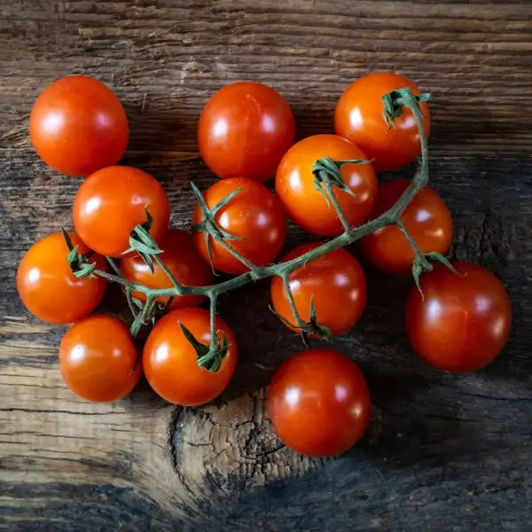 Tommy toe cluster of red cherry tomatoes