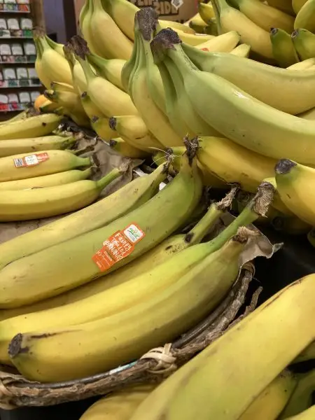 Close-up of organic GROW bananas stacked in a produce display, featuring Fair Trade banana labels and vibrant yellow and green fruit.
