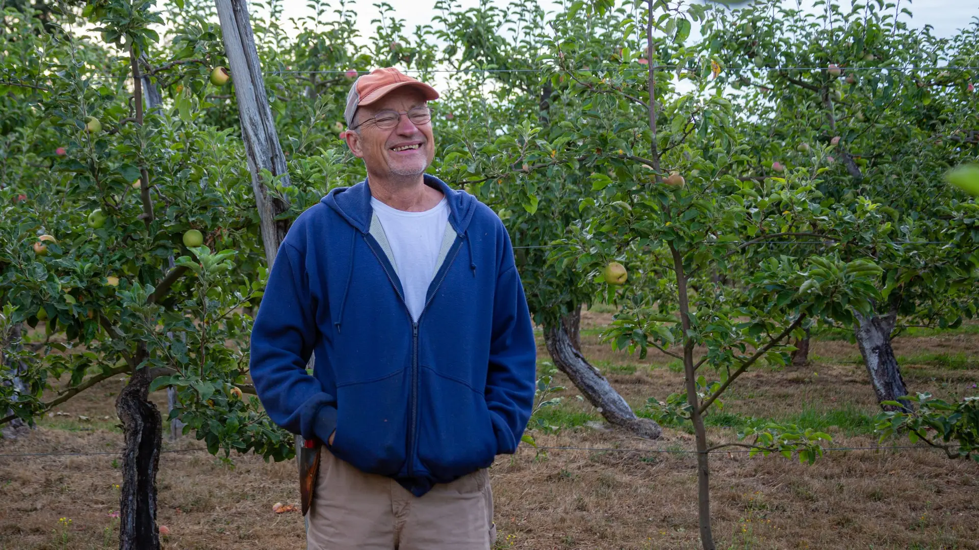 Organic farmer standing among apple trees in a Pacific Northwest orchard.