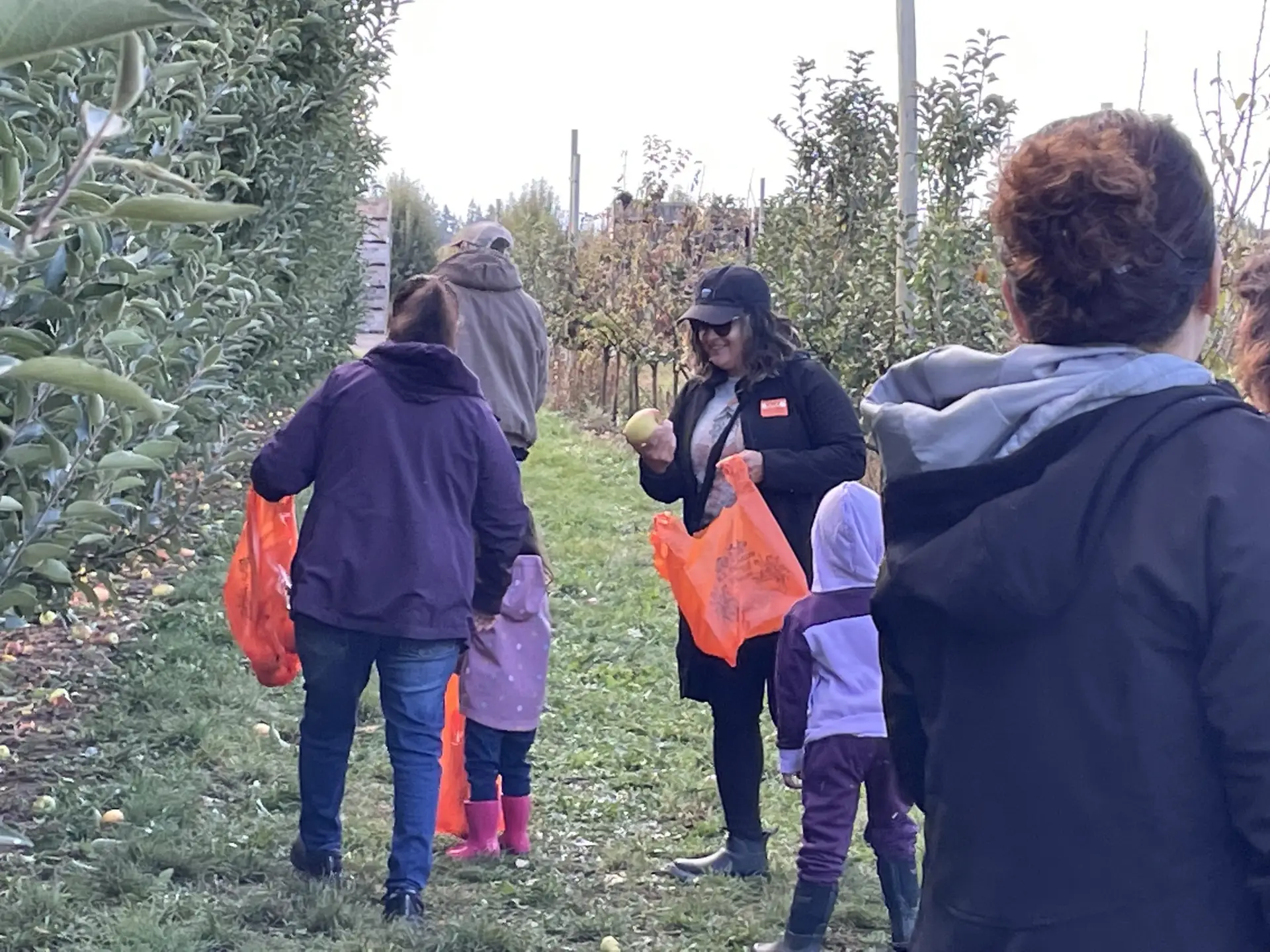 Adults and children gather apples during a Mano a Mano Family Center community outing.