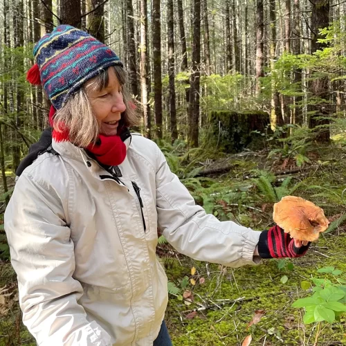 Woman in the forest holds a mushroom and looks at it.